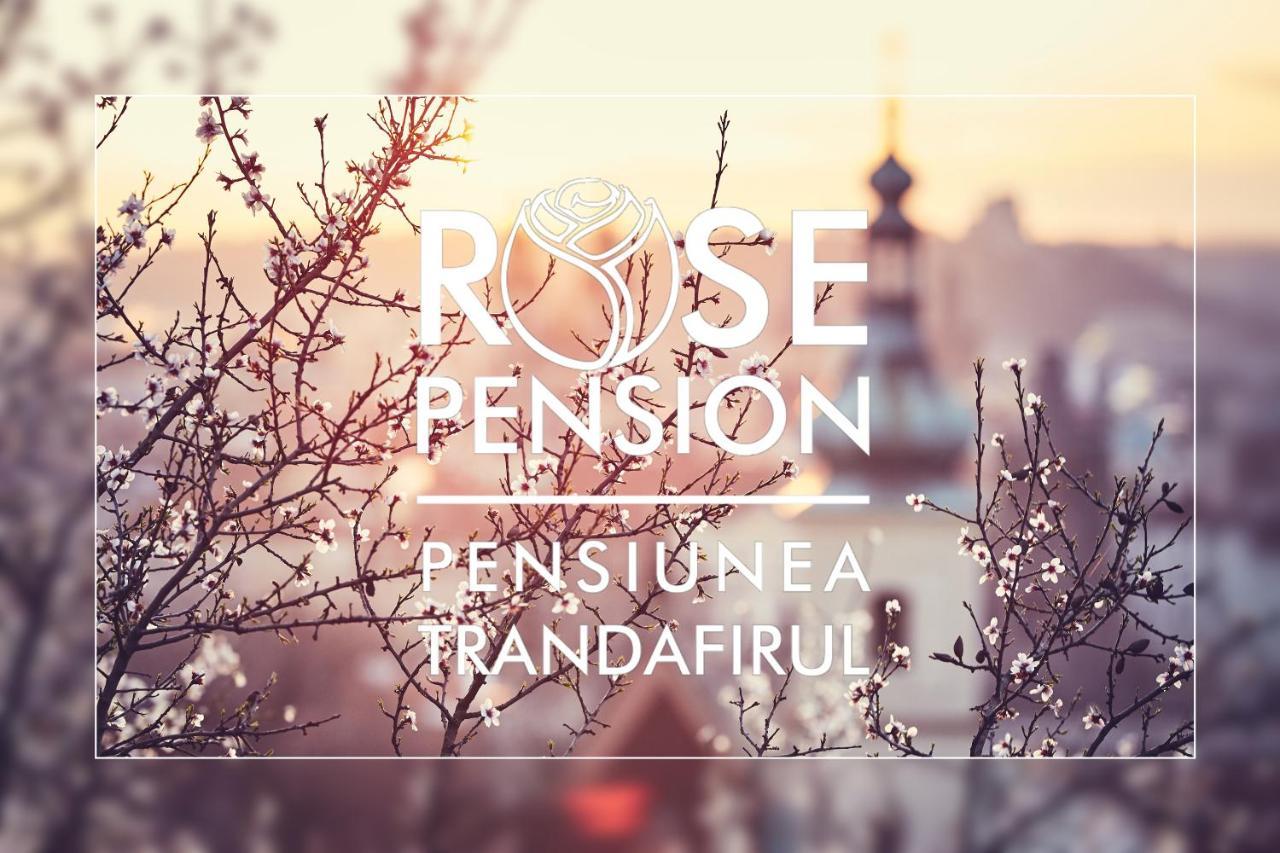 Pension Rose-Trandafirul Borsec Dış mekan fotoğraf