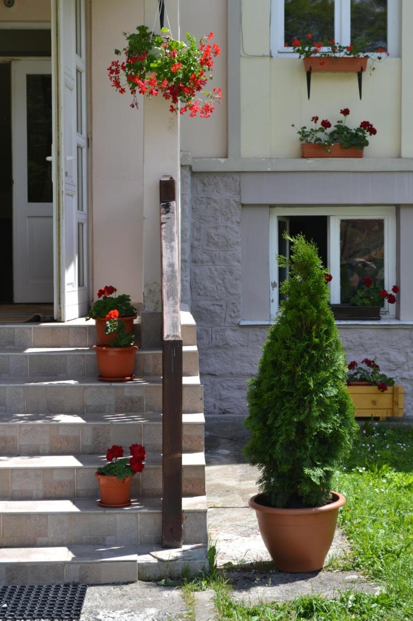 Pension Rose-Trandafirul Borsec Dış mekan fotoğraf
