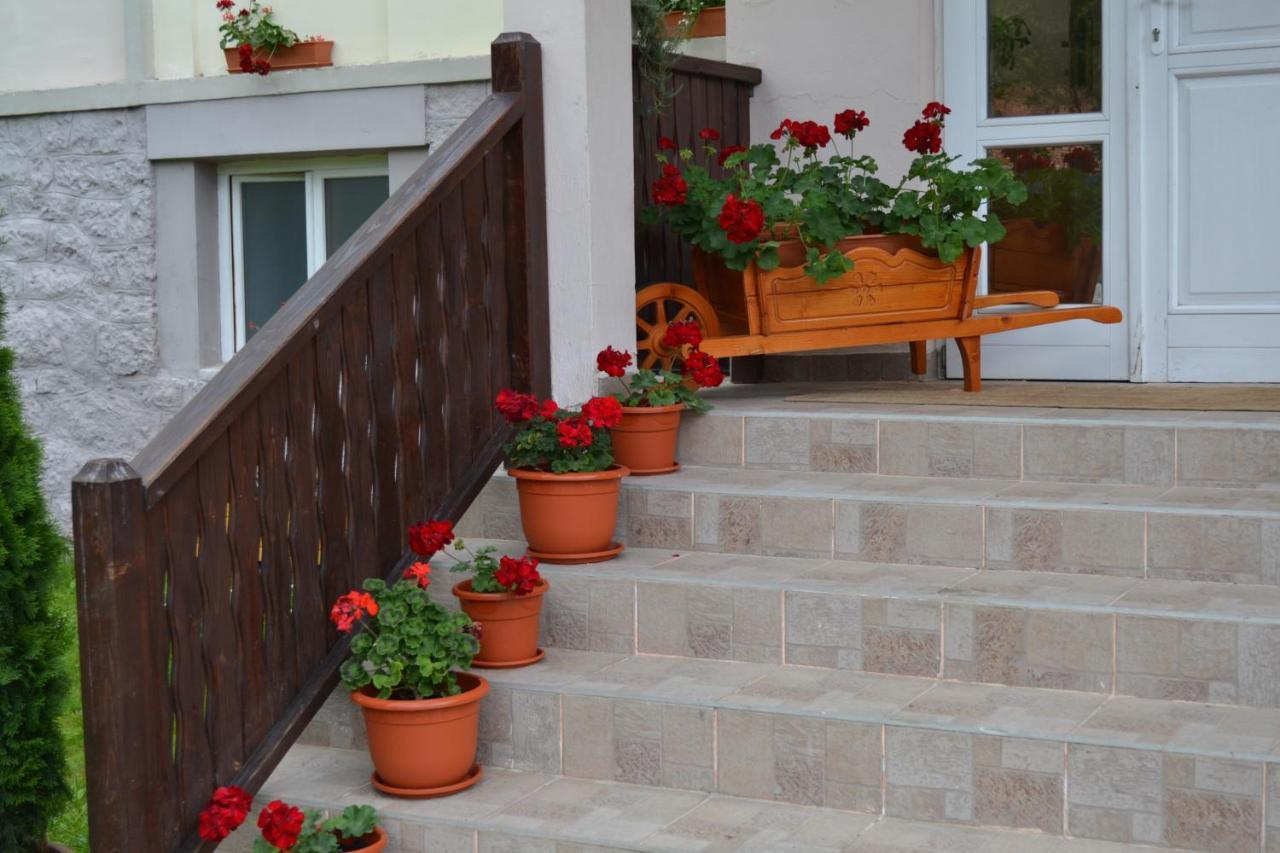Pension Rose-Trandafirul Borsec Dış mekan fotoğraf